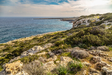 Rocky hill slope covered with green shrubs and wild vegetation on coastal shore of Cape Greco. Scenic marine landscape and blue sea under cloudy sky. Ayia Napa, Cyprus. © Vlad Rakin