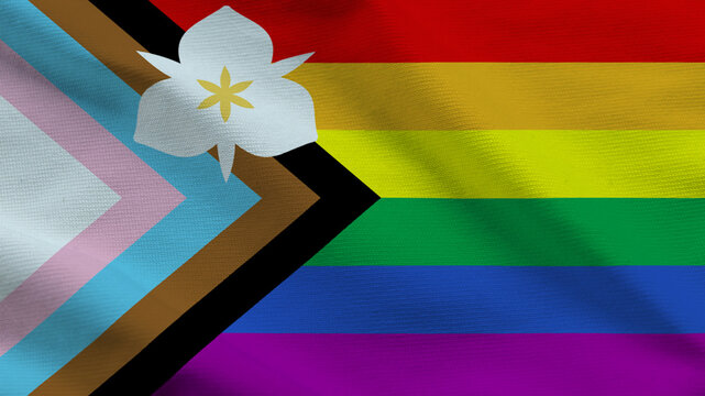 Salt Lake City Progress Pride Flag Fabric Texture