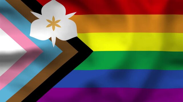 Salt Lake City Progress Pride Flag Fabric Texture