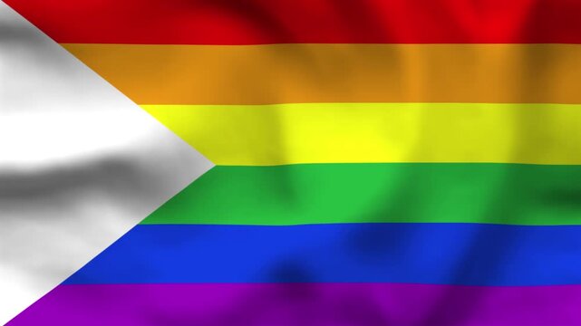 Minimalist Rainbow Pride Flag with White Chevron