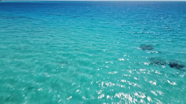 Sunlight reflects upon the pristine turquoise water surface near the tropical shore creating a rhythmic pattern of shifting tidal waves that roll across the sandy ocean floor in the Maldives