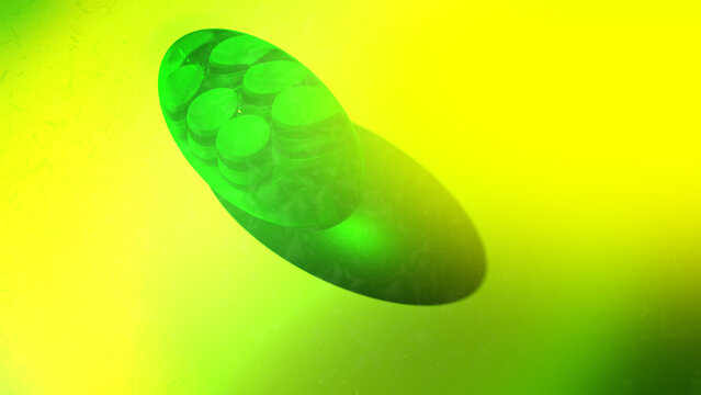 Chloroplast in a Plant Cell - Cinematic Animation