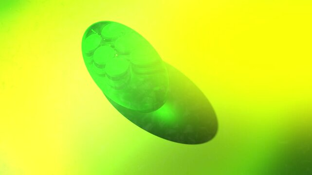 Chloroplast in a Plant Cell - Cinematic Animation
