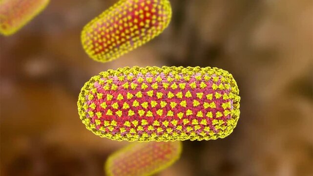 Rabies virus particles, 3D animation showing slowly rotating bullet-shaped enveloped virions, illustrating neurotropic viral infection.