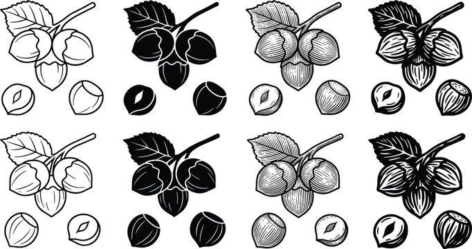 Hazelnut Filbert Silhouette and Line Art Icon Set with Detailed Vintage Engraving Textures for Organic Food Packaging and Bakery Logo Vectors