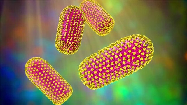 Rabies virus particles, 3D animation showing slowly rotating bullet-shaped enveloped virions, illustrating neurotropic viral infection.