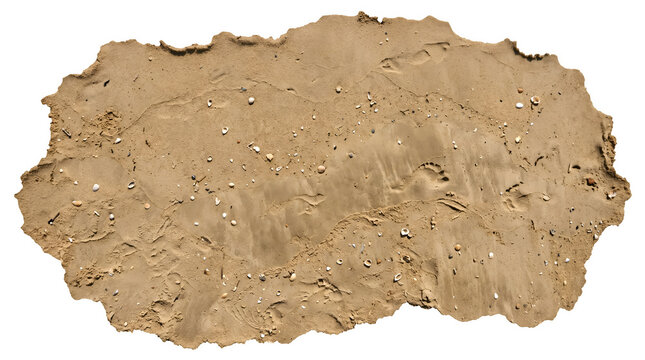 Isolated patch of beach sand with footprints and scattered seashells on transparent background 