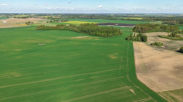Stunning aerial footage showcases expansive green fields, patches of trees, and rural farmland under clear skies. Bright sunlight highlights vivid rural patterns. Smooth drone camera glide.