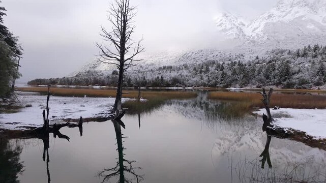 Snow covered wetlands and flooded forest reflections at Lago Guillelmo, R&iacute;o Negro, Argentina within the Andean Patagonian ecosystem near Nahuel Huapi National Park, drone forward flyover shot.