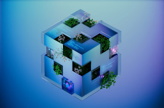 3D botanical data cube with digital garden architecture