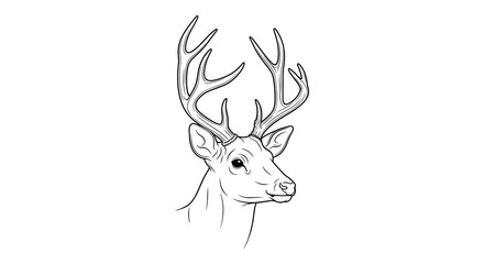 Fototapeta premium Black and white deer head illustration