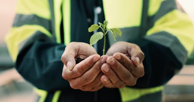 Growth, plant and hands of construction manager on site for sustainability, eco friendly or agro. Agriculture, man and civil engineer with green leaf in soil for spring, botany or hope outdoor.