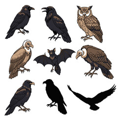 Fototapeta premium Set of various birds vector illustrations for design elements