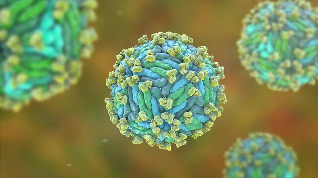 Zika virus with attached antibodies, 3D animation showing flavivirus particles bound by neutralising immunoglobulins, illustrating antiviral immune response.