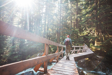 Fototapeta premium Boardwalk in the forest