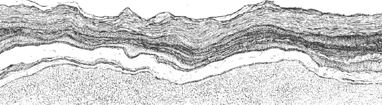Seismic reflection profile showing layered geological strata and subsurface structures