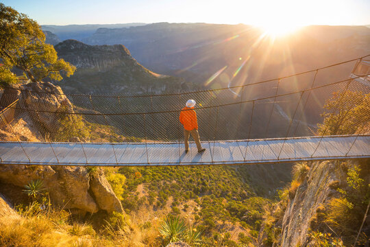 Suspension bridge
