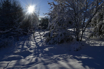 winter © Justyna