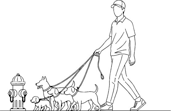 Man walking multiple dogs on city leashes illustration.