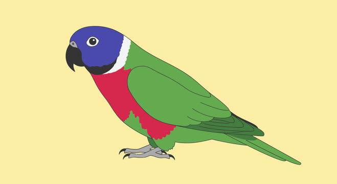 Colorful Parrot Bird Illustration on Yellow Background