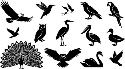 Fototapeta premium Diverse Wild Bird Black Silhouette Vector Set Featuring Eagle Owl Peacock Hummingbird Parrot and Swan Symbols for Nature Wildlife and Logo Designs