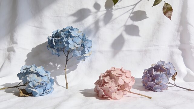 A delicate composition of fresh blue and pink hydrangea flowers on a white linen surface, creating a subtle transgender pride color palette. Symbolic and aesthetic visual for Pride Month.