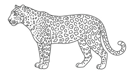 Fototapeta premium A detailed outline illustration of a leopard in profile view, showcasing its spotted coat and muscular build, perfect for educational or creative projects