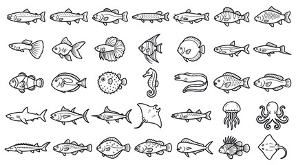 Diverse Hand-Drawn Fish Collection Vector Art © mus