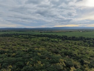 Fototapeta premium Imagem capturada por drone mostrando o contraste entre uma área de cultivo agrícola de bananas e a preservação da vegetação nativa característica da região da Chapada Diamantina, Brasil, céu nublado.