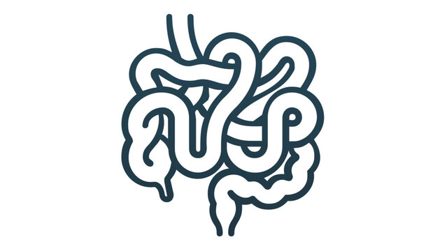 Twisting human intestines outline vector icon. Internal organ anatomy illustration for gastroenterology, digestive system health, and medical diagnostics. Minimalist flat line art graphic resource.
