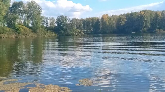 Small thickets of mud on the shore of a beautiful lake surrounded by forest with the sky reflected in the slightly shaky surface on a sunny autumn day. Lake Malinovskoye, Novosibirsk, Russia.