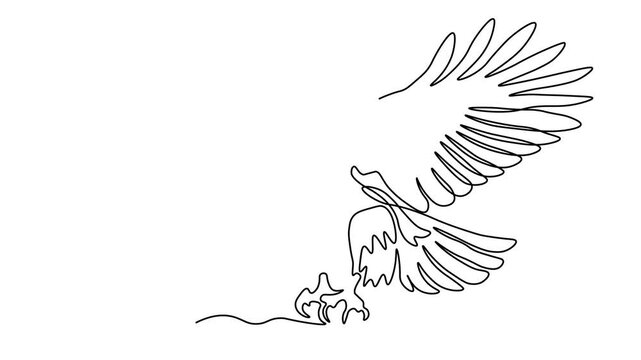 large bird of prey in flight, an eagle with open wings, Self drawing animation one continuous line draw, logo on white background