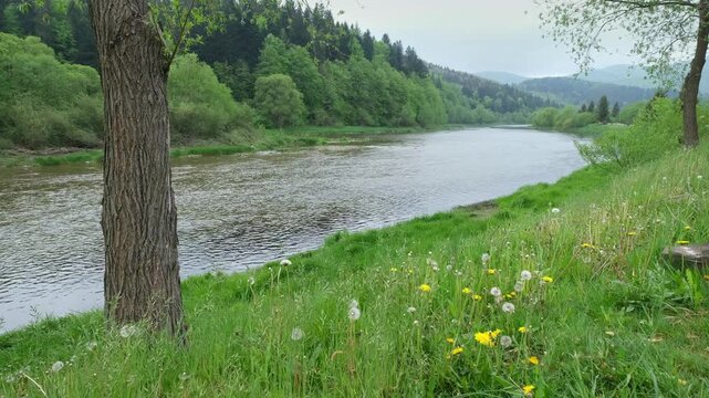 Spring picturesque mountain river band view. (Stryi river near Skhidnytsya village, Carpathians, Ukraine.)
