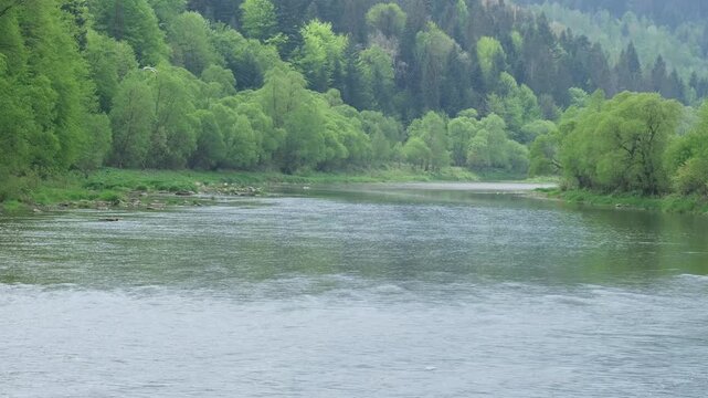 Spring picturesque mountain river band view. (Stryi river near Skhidnytsya village, Carpathians, Ukraine.)
