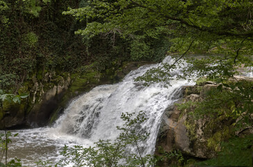 Obraz premium A mountain river and waterfall near the Dryanovo Monastery (Gabrovo Region, Bulgaria) 