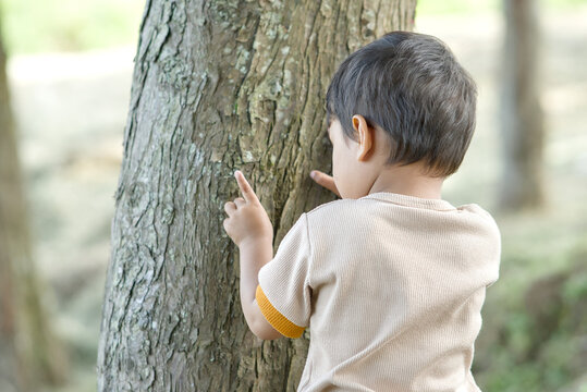 A young child exploring and touching the textured bark of a tree trunk in a natural outdoor setting