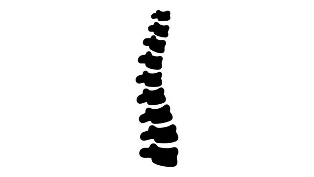 Customizable human spine vertebrae column line icon with editable stroke weight for medical and chiropractic design projects, featuring a professional minimalist vector illustration style.