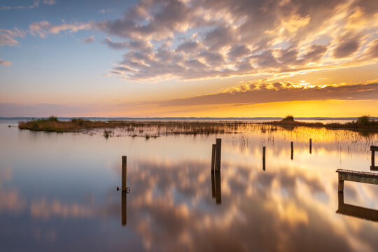 Reflets dor&eacute;s