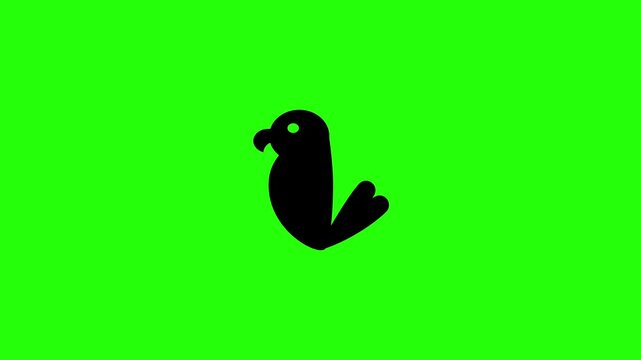 Professional 4K footage of a tropical parrot macaw bird profile silhouette bouncing on screen. Great popup graphic for avian pet shop zoo layout.