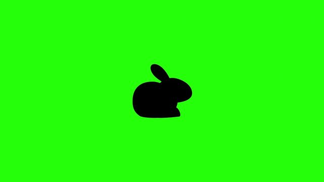 High quality 4K video showing a clean minimalist full side view silhouette of a domestic bunny rabbit crouching bouncing. Creative asset for pet web.