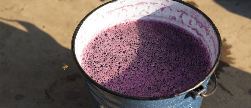 Grape juice close up during the autumn harvest. Traditional old technique of wine making. Filtering grape must.