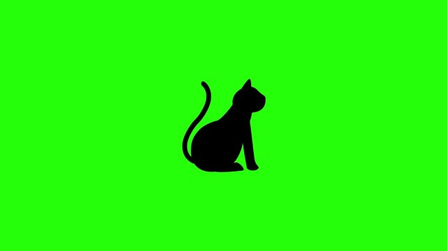 Beautiful 4K motion asset featuring a sleek full profile silhouette of a sitting domestic kitten cat with raised tail bouncing. Dynamic graphic for shelter.