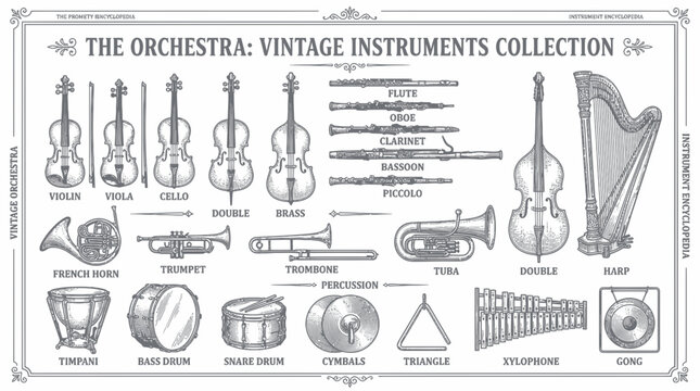 Vintage Orchestra Instruments Collection: Engraved Illustrations