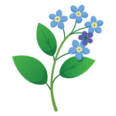 Obraz premium brunnera macrophylla flower with branch on white background
