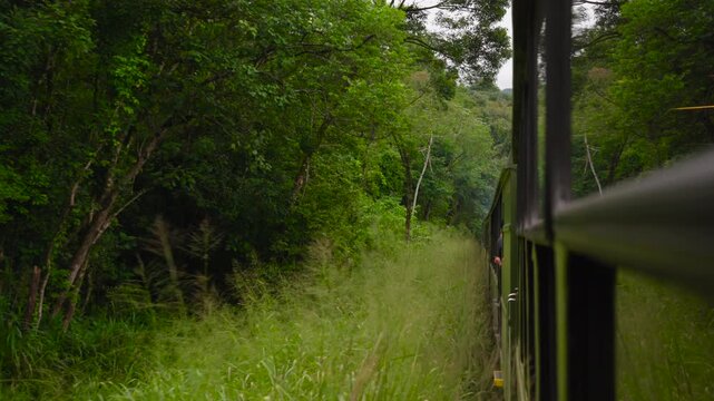 Historic train in South Brazil cruising along a wild mountain railway route, Serra do Mar, Brazil