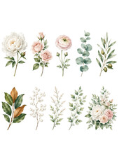 Obraz premium Watercolor botanical set with flowers, leaves, and branches