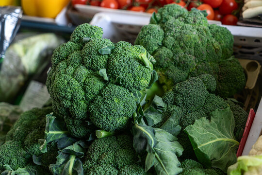 Fresh raw broccoli heads on display at a local farmers market. Healthy food background with crisp vegetables for vegan lifestyle and culinary concepts