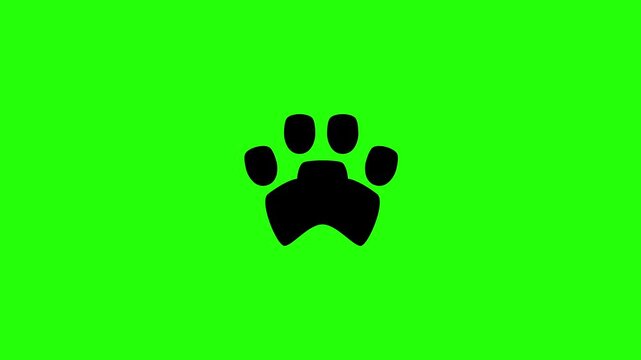 Premium 4K video showcasing a standard canine puppy or feline kitten track paw print emblem bouncing. Clean energetic popup animation perfect for pet shop logo web.