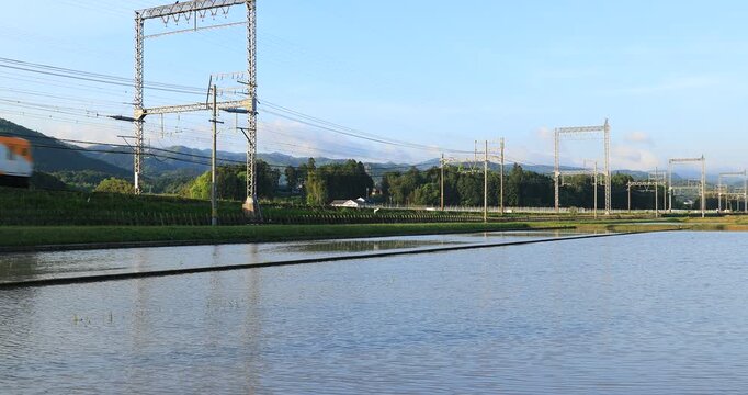 Kintetsu Train Passing Rice Fields | 4K 4096 | Silent RAW Footage