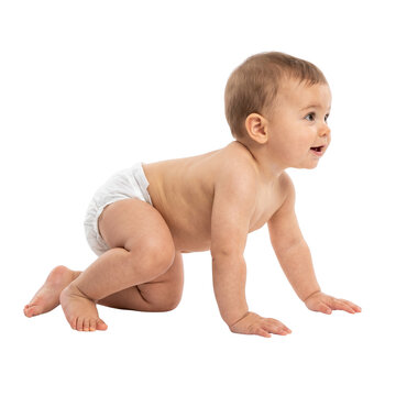 Baby crawling on white background, isolated, happy, exploring, learning, development